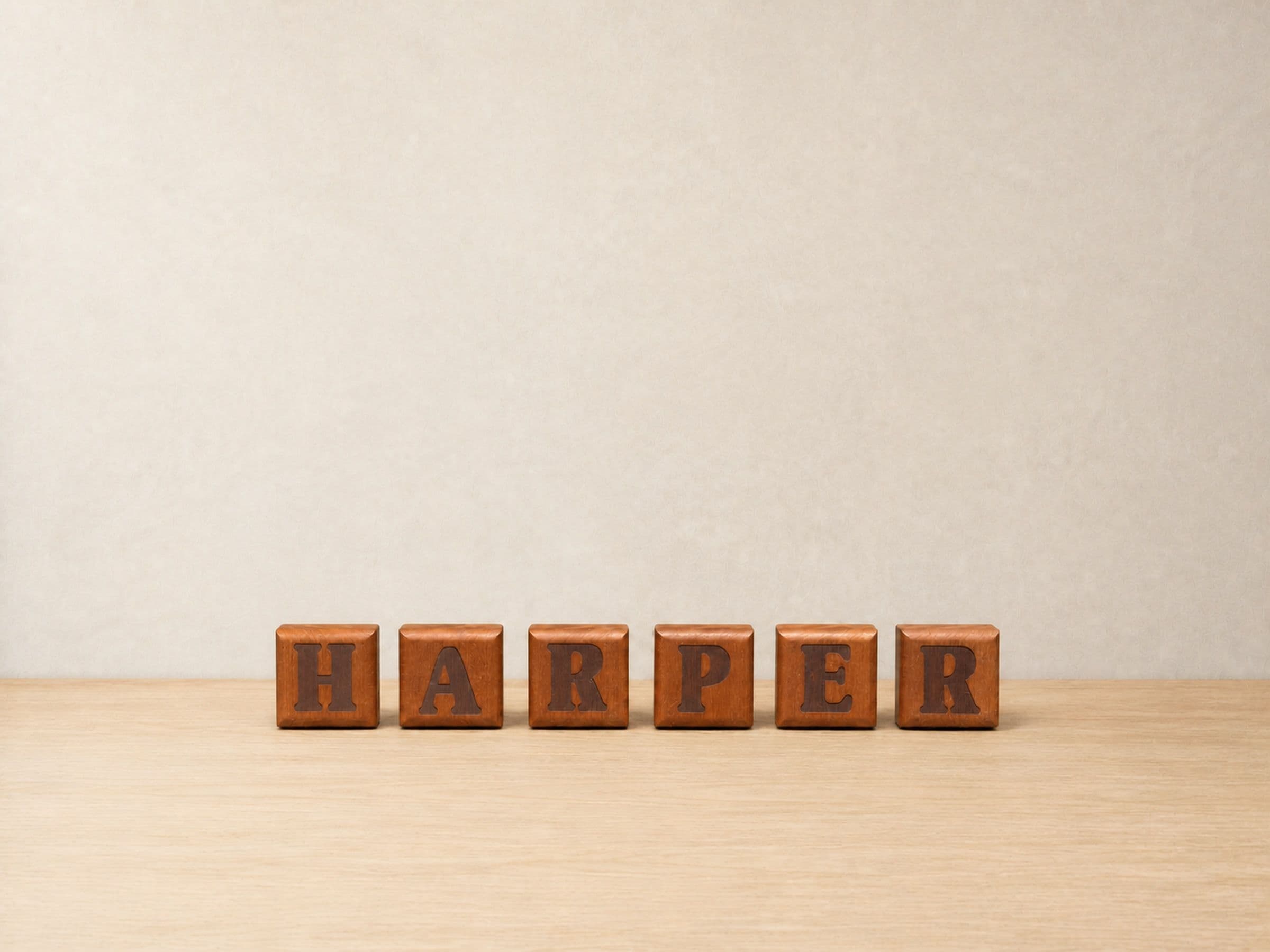 Personalized Wooden Letter Blocks